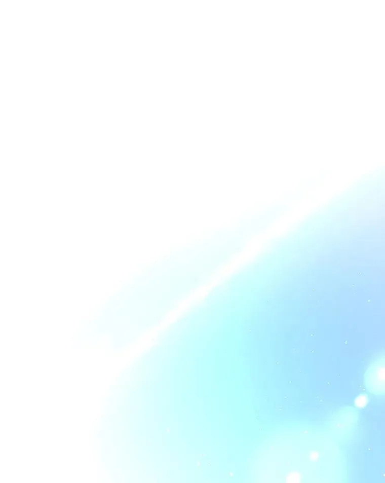 第333页