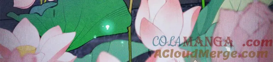 第216页