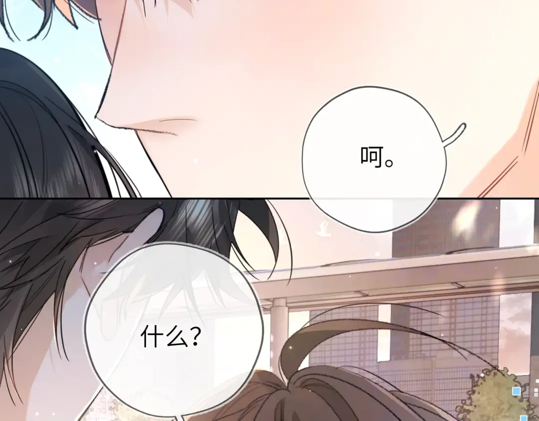 第204页