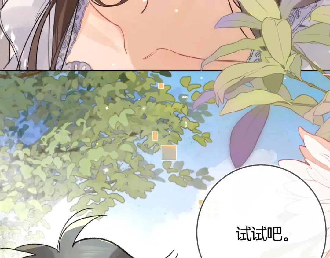 第216页