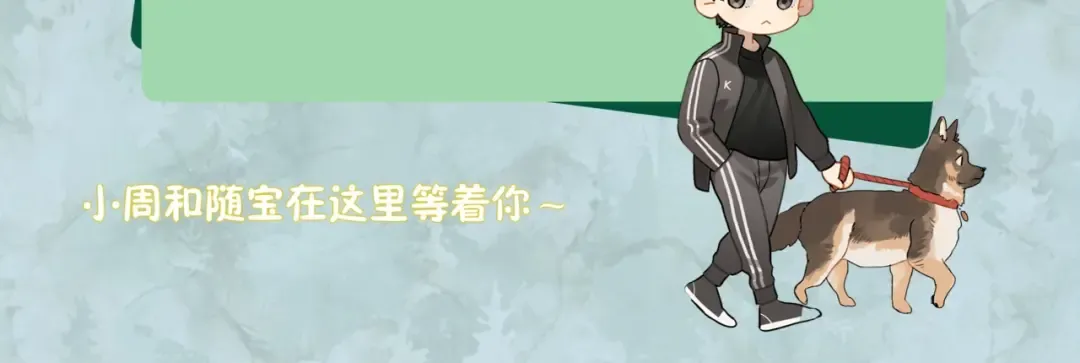 第321页