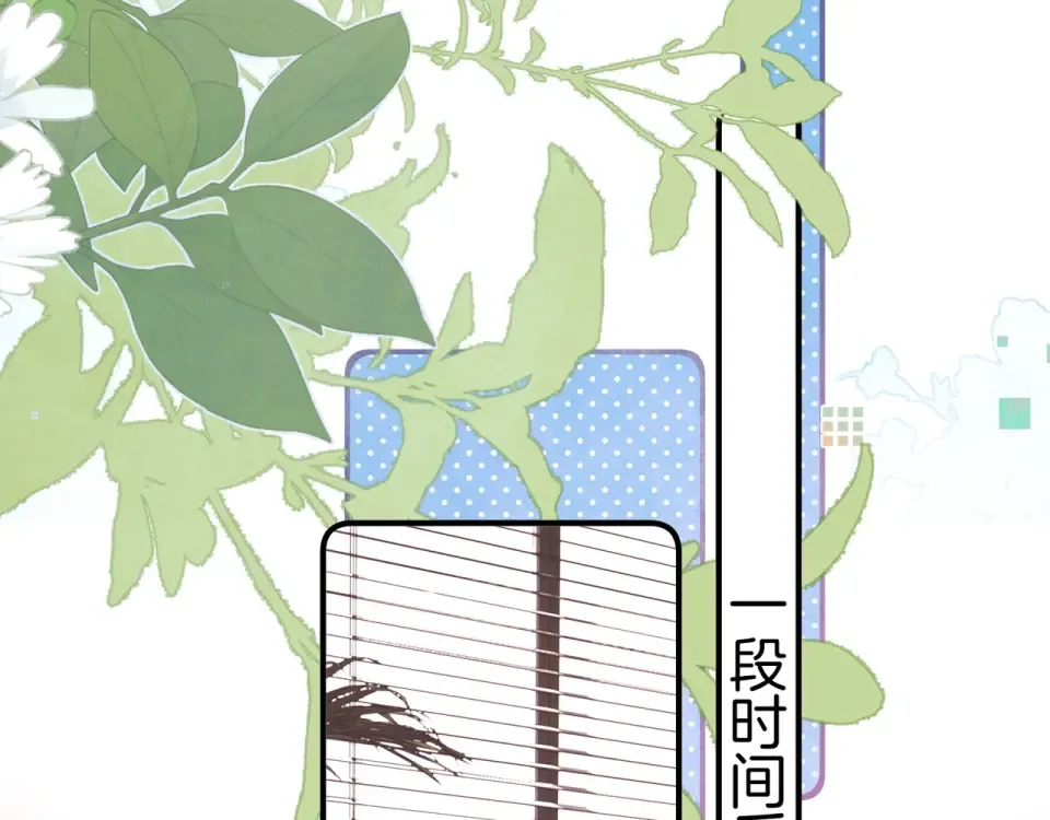 第243页