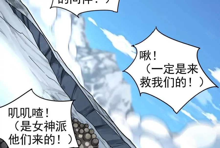 第567页