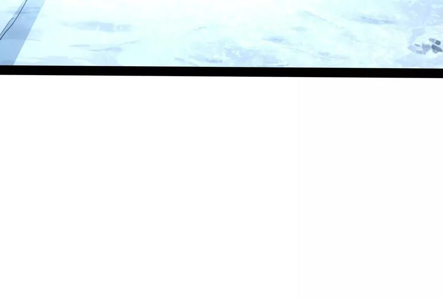 第513页