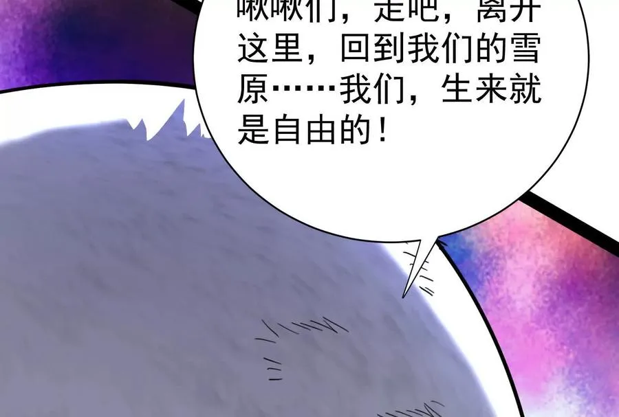 第429页