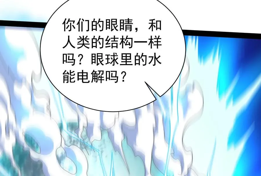 第333页