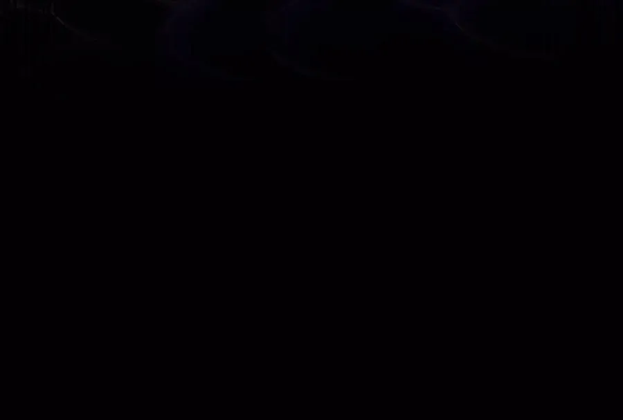 第255页
