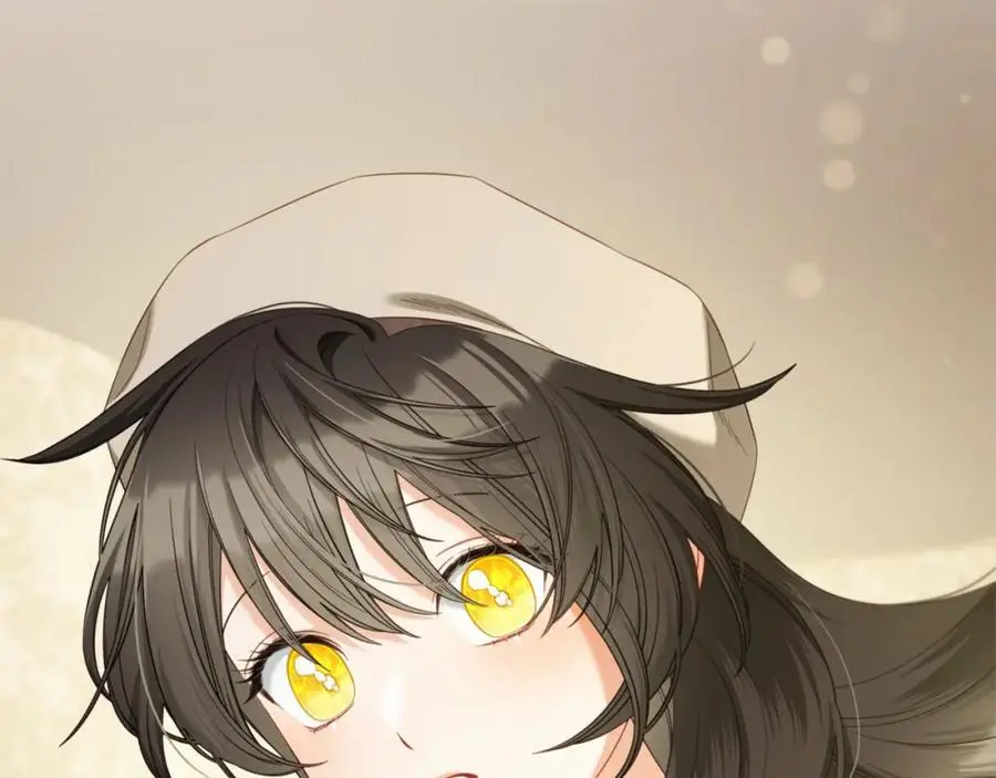 第447页