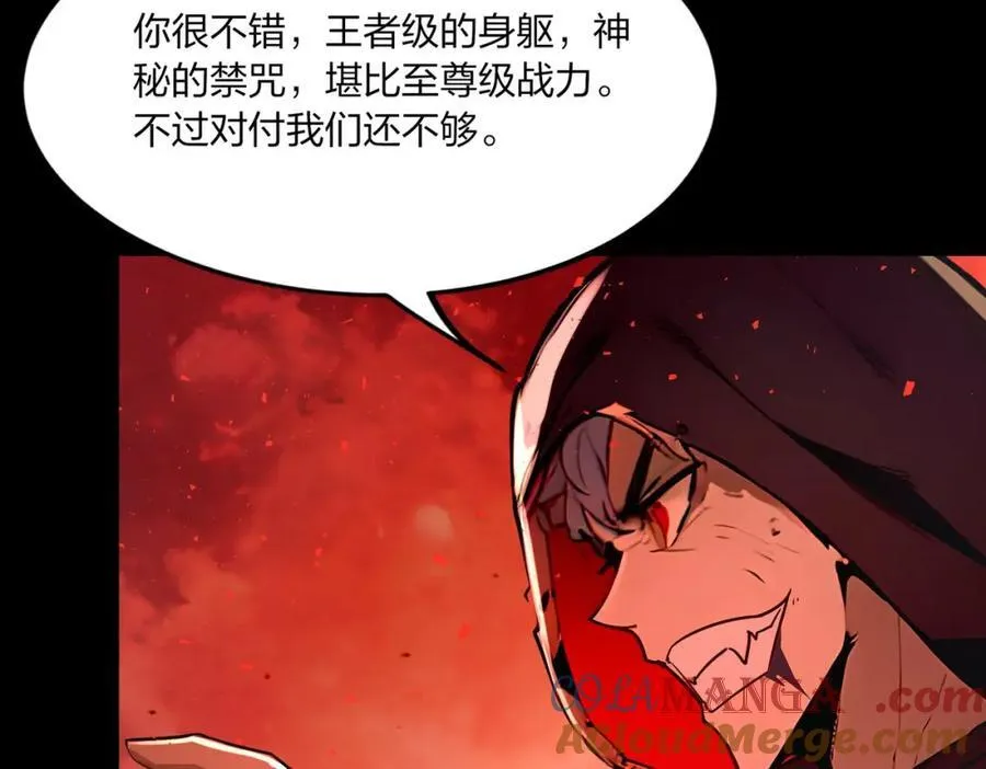 第204页
