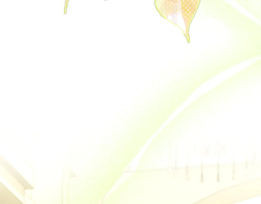 第285页