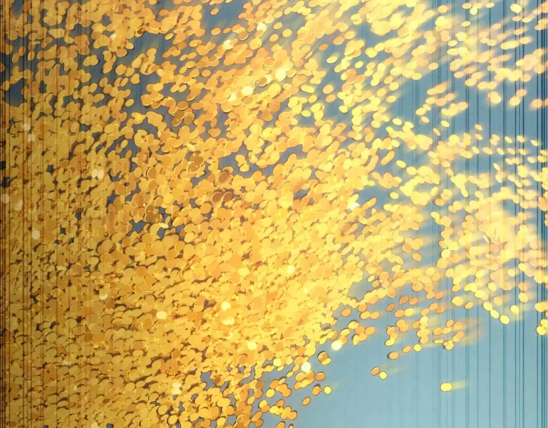 第855页
