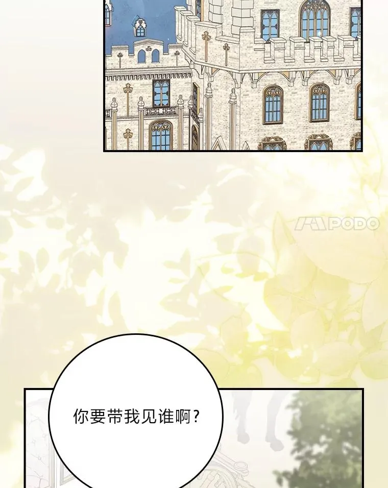 第246页