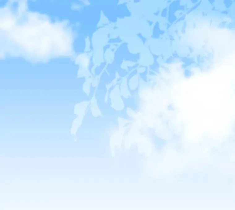 第267页