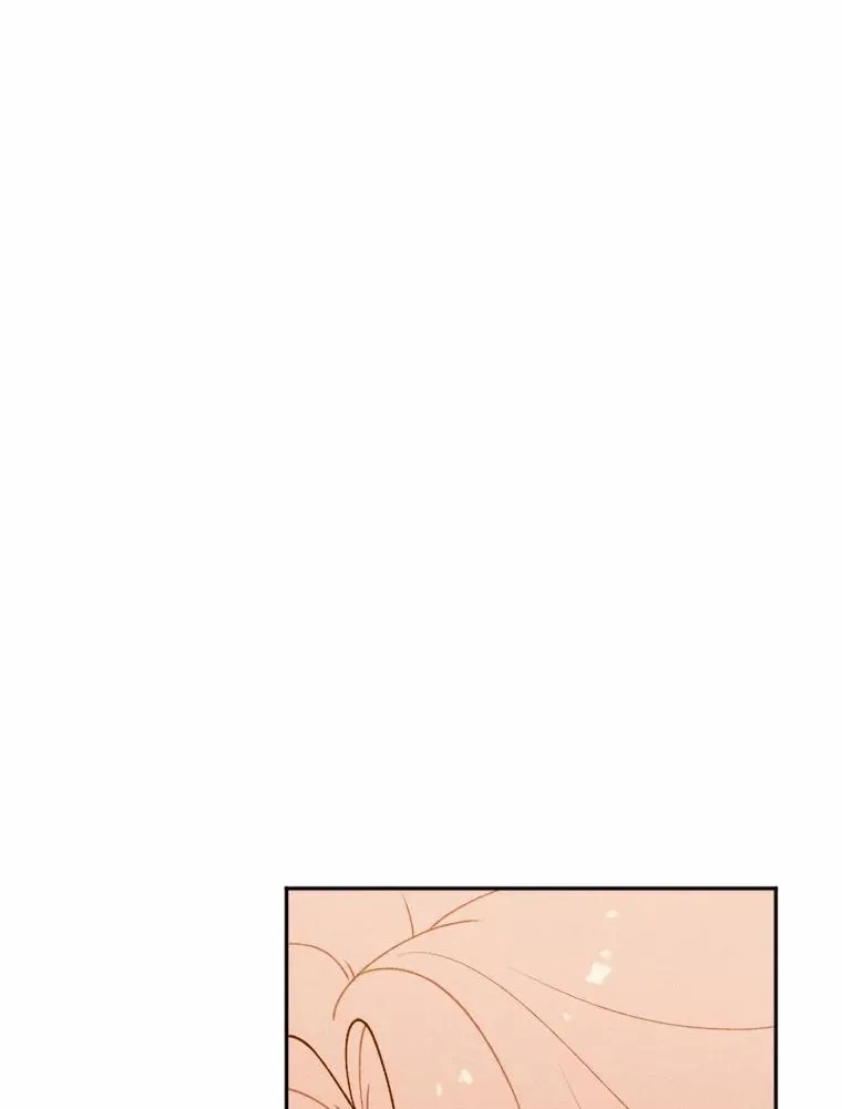 第258页