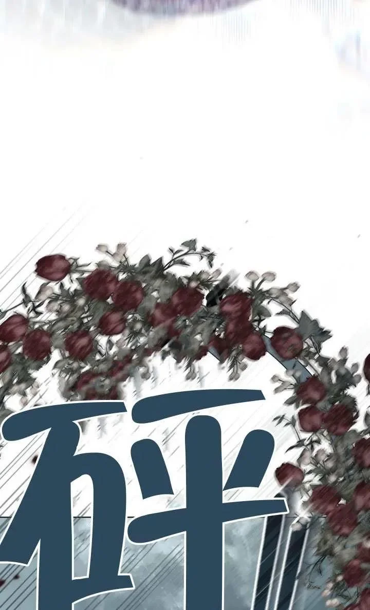 第282页
