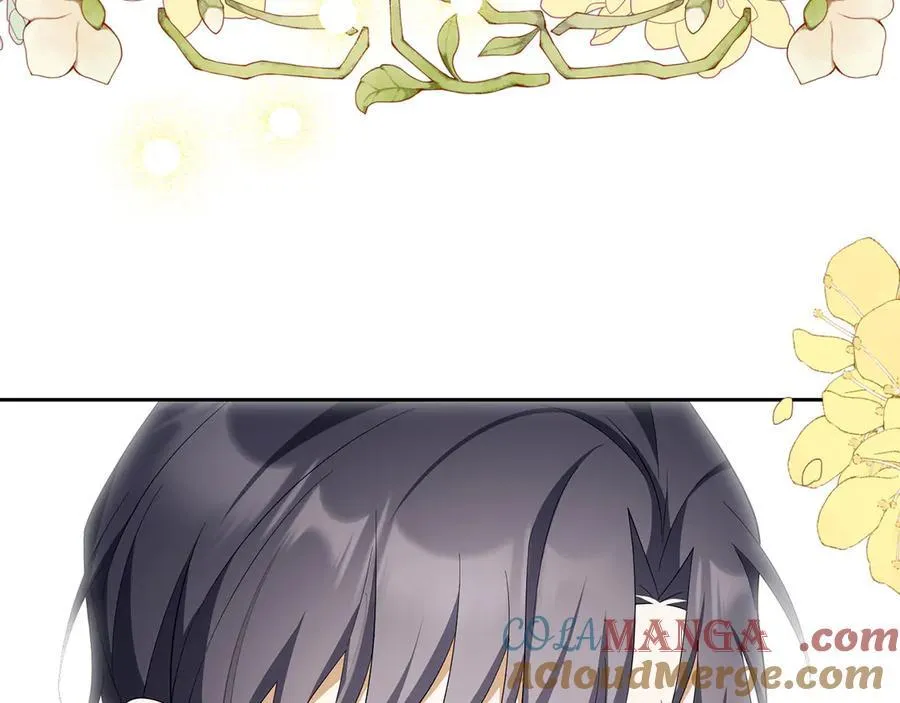 第504页
