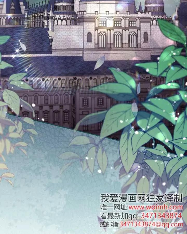 第231页