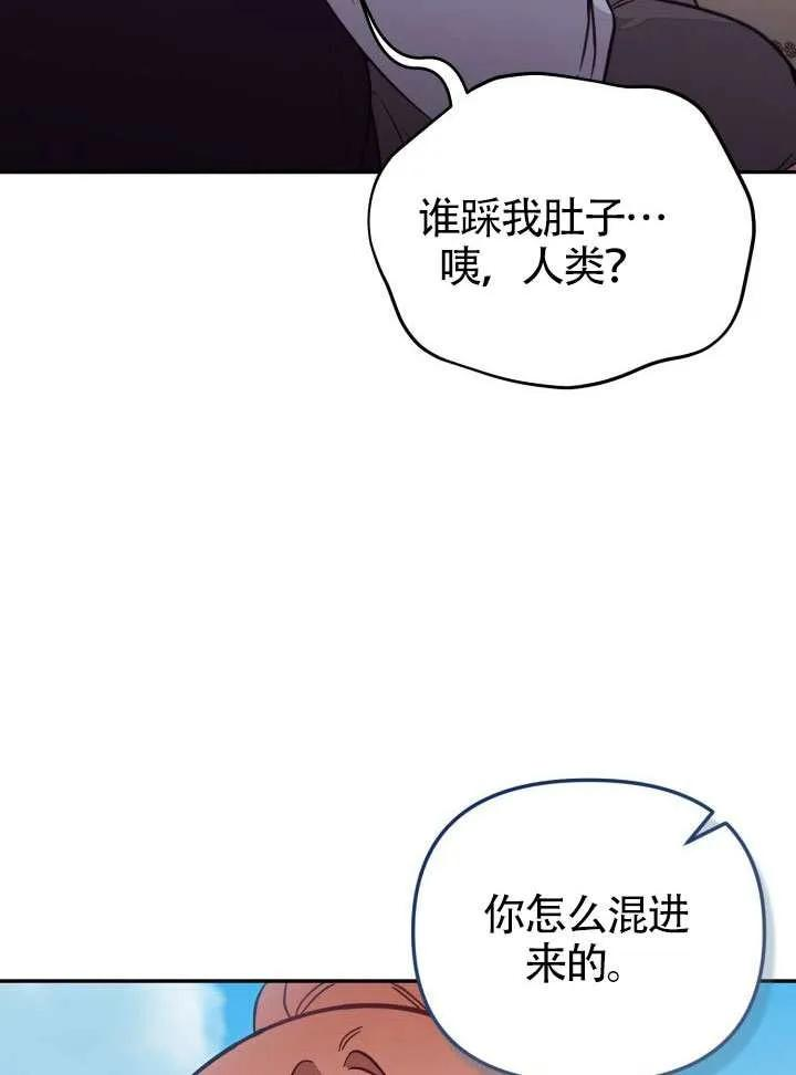 第282页