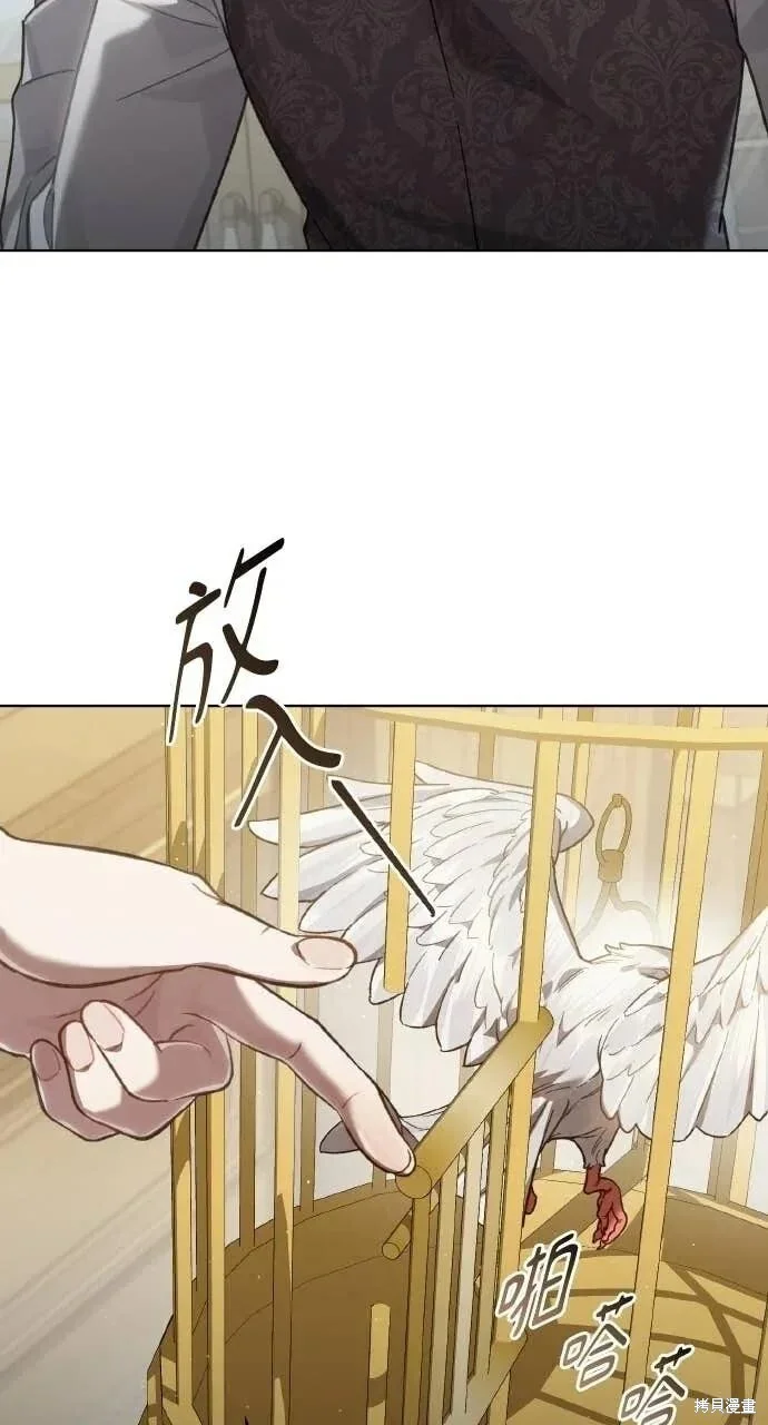 第207页