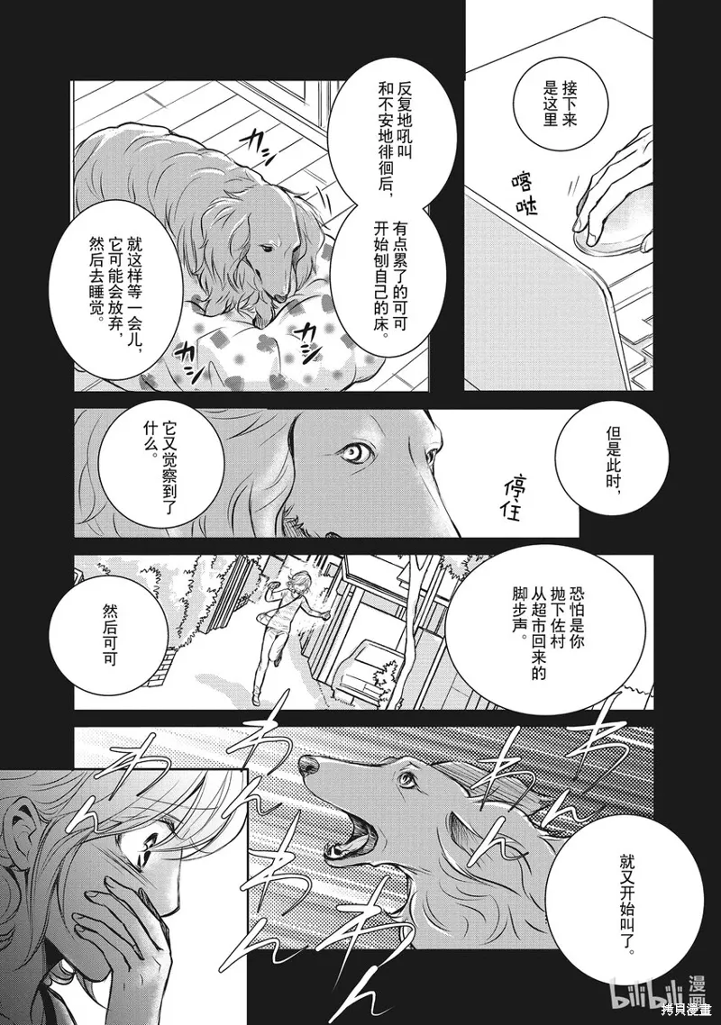 第51页