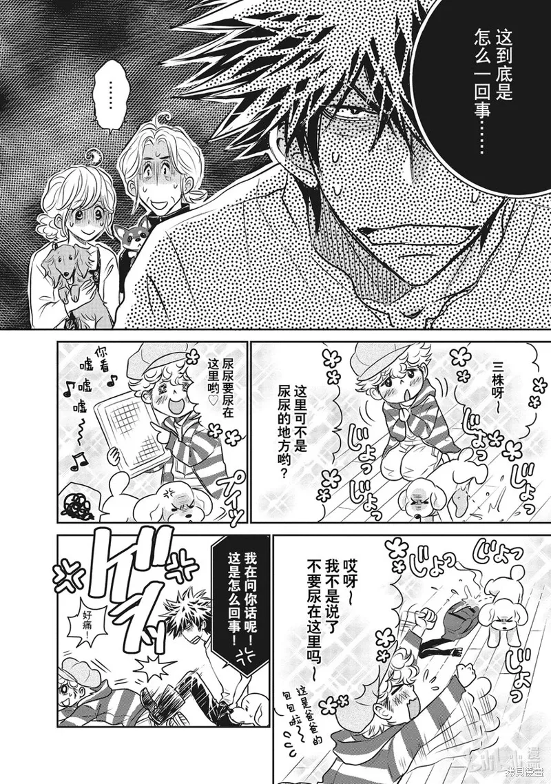 第51页
