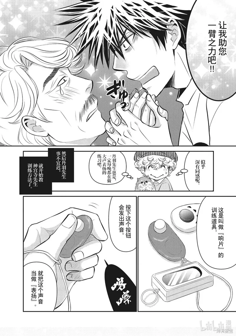 第51页