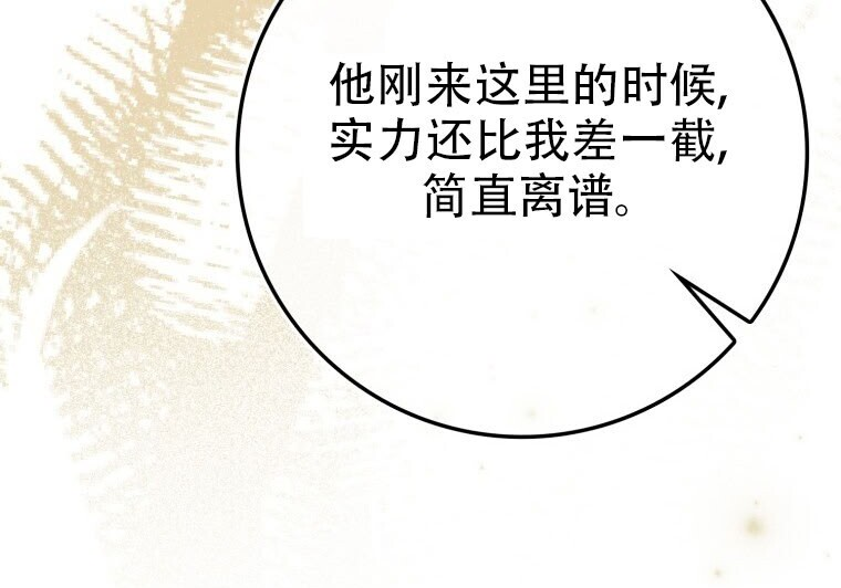 第246页
