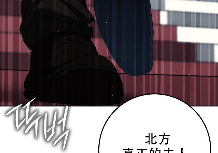第333页