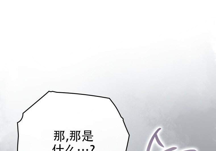 第351页