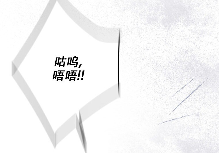 第594页