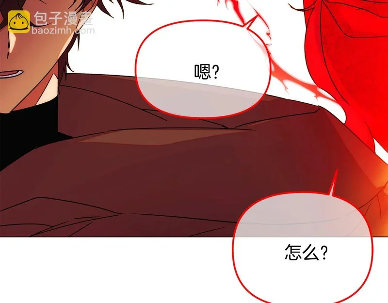 第243页