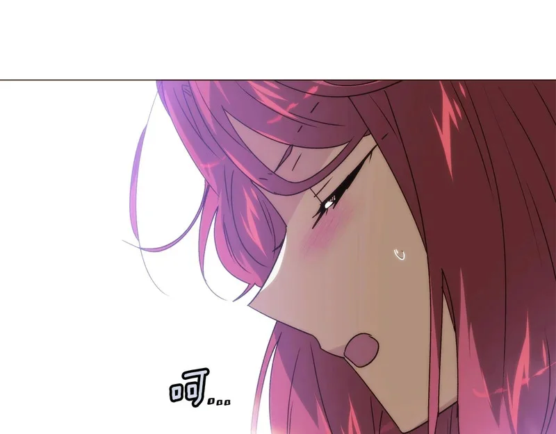 第480页
