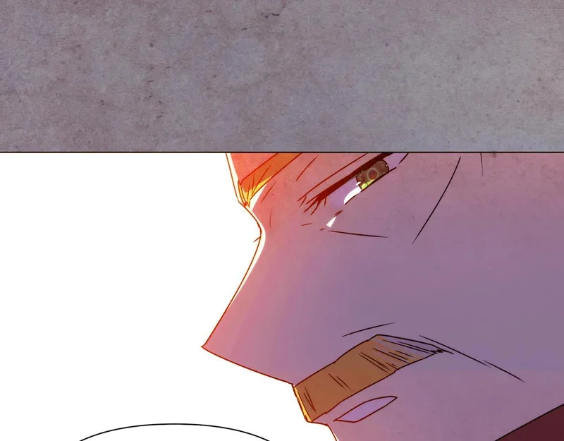 第429页