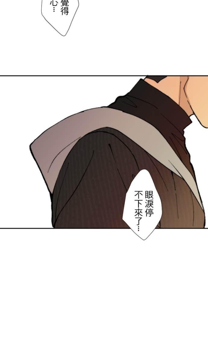 第204页