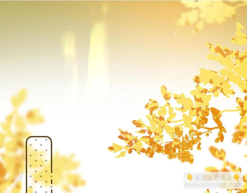 第243页