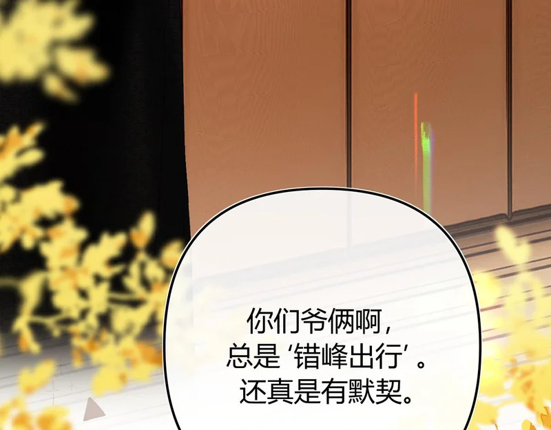 第216页
