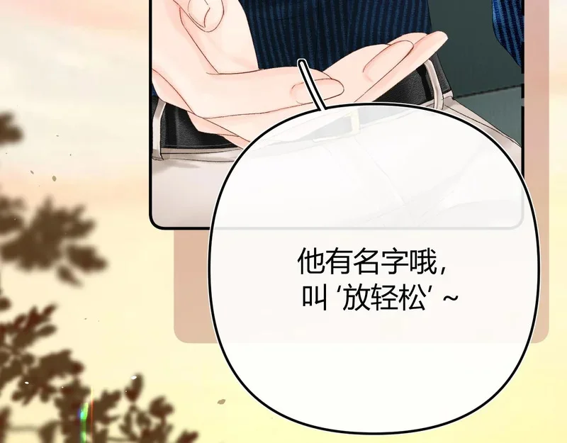 第246页