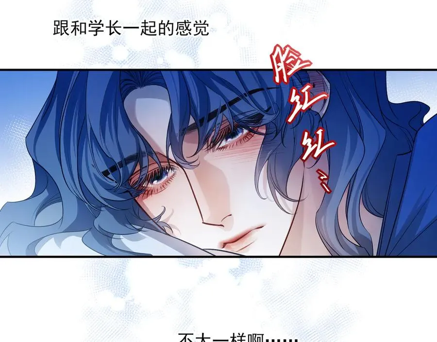 第219页