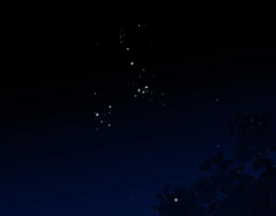 第279页