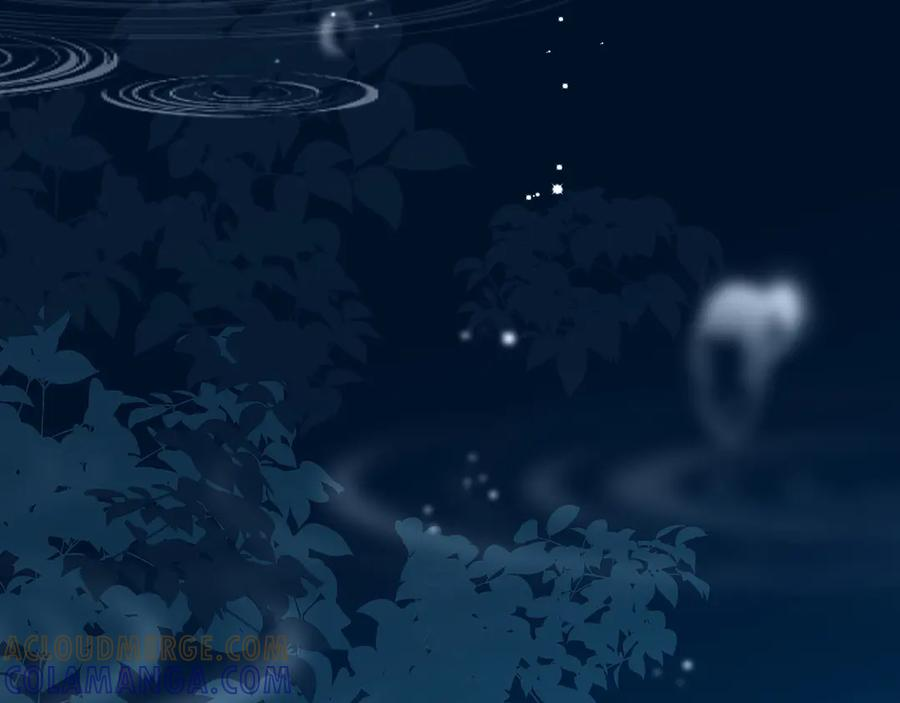 第207页
