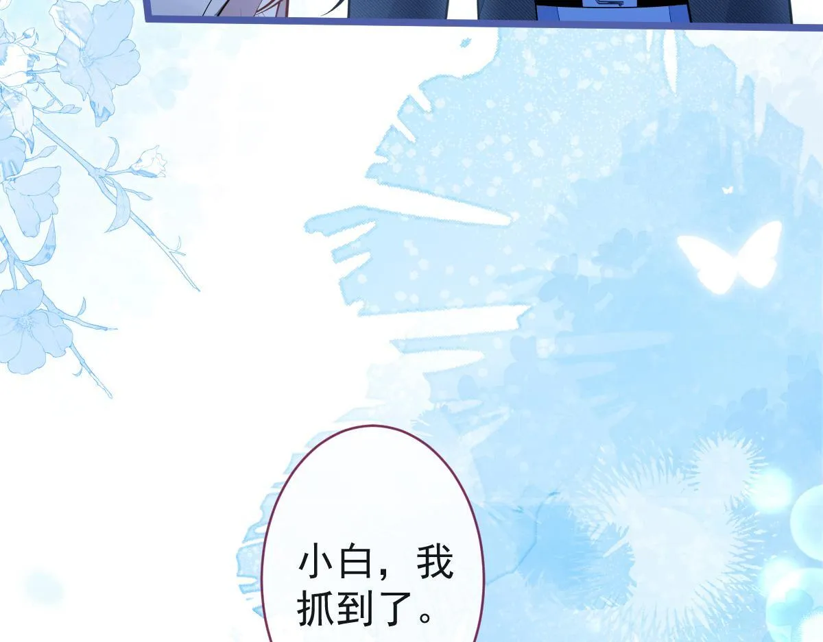 第270页
