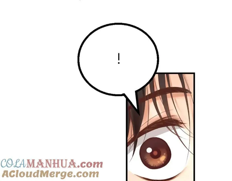 第504页