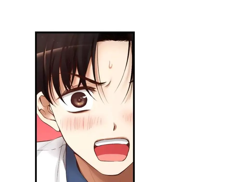 第351页