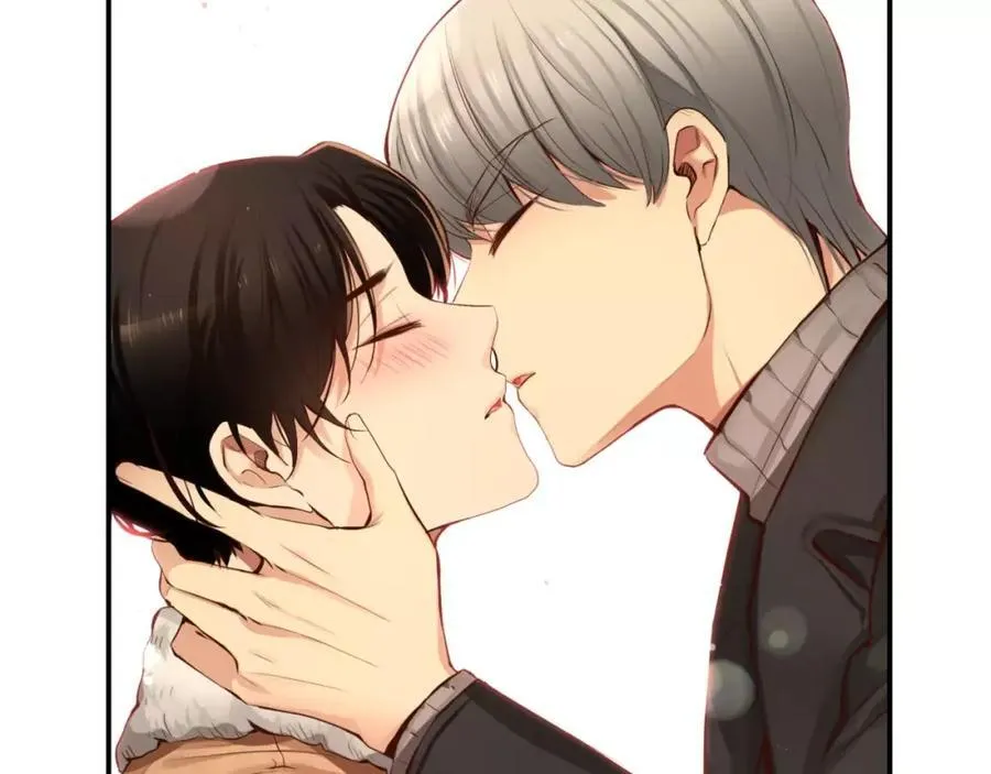 第333页