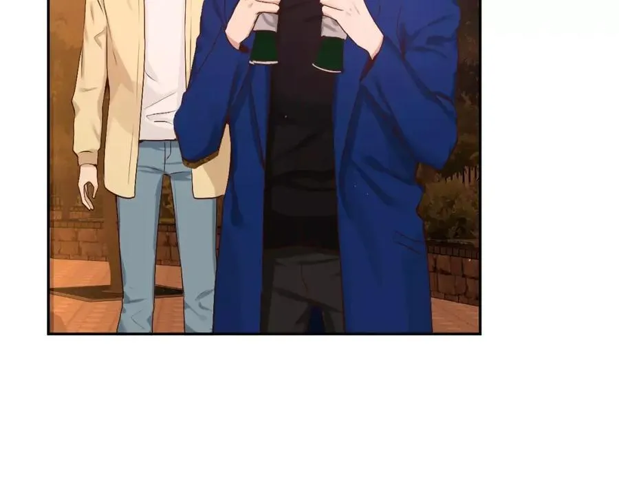 第333页