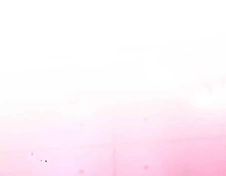 第447页