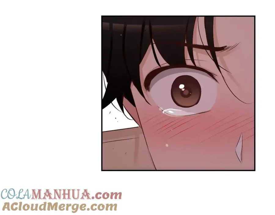 第444页