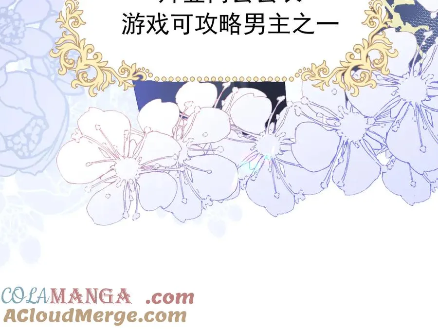 第204页