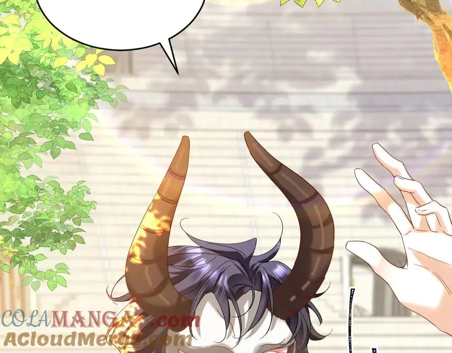 第264页