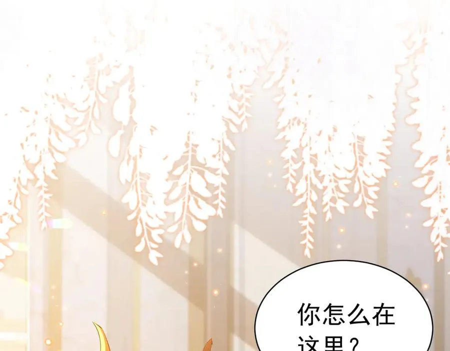 第255页